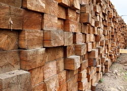 化州防腐木材厂家